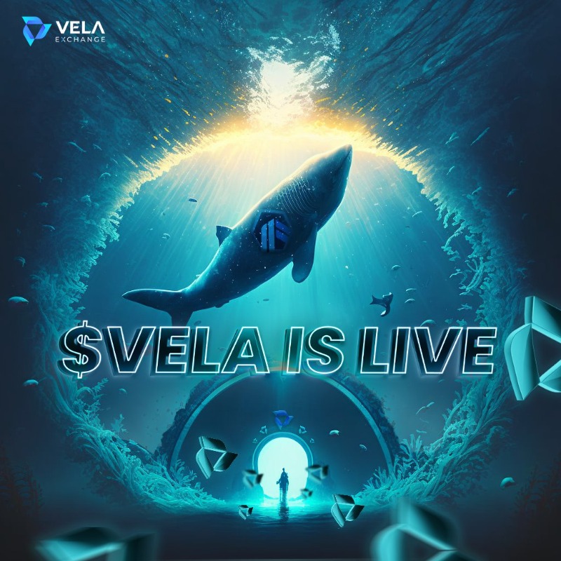 VelasExchange's tweet photo. $VELA Airdrop just launched. 

You will get a minimum of 1000 $VELA tokens when you claim.

The $VELA airdrop is awaiting you ⤵️
https://t.co/mDINPftfAg https://t.co/iCxEszlKPL