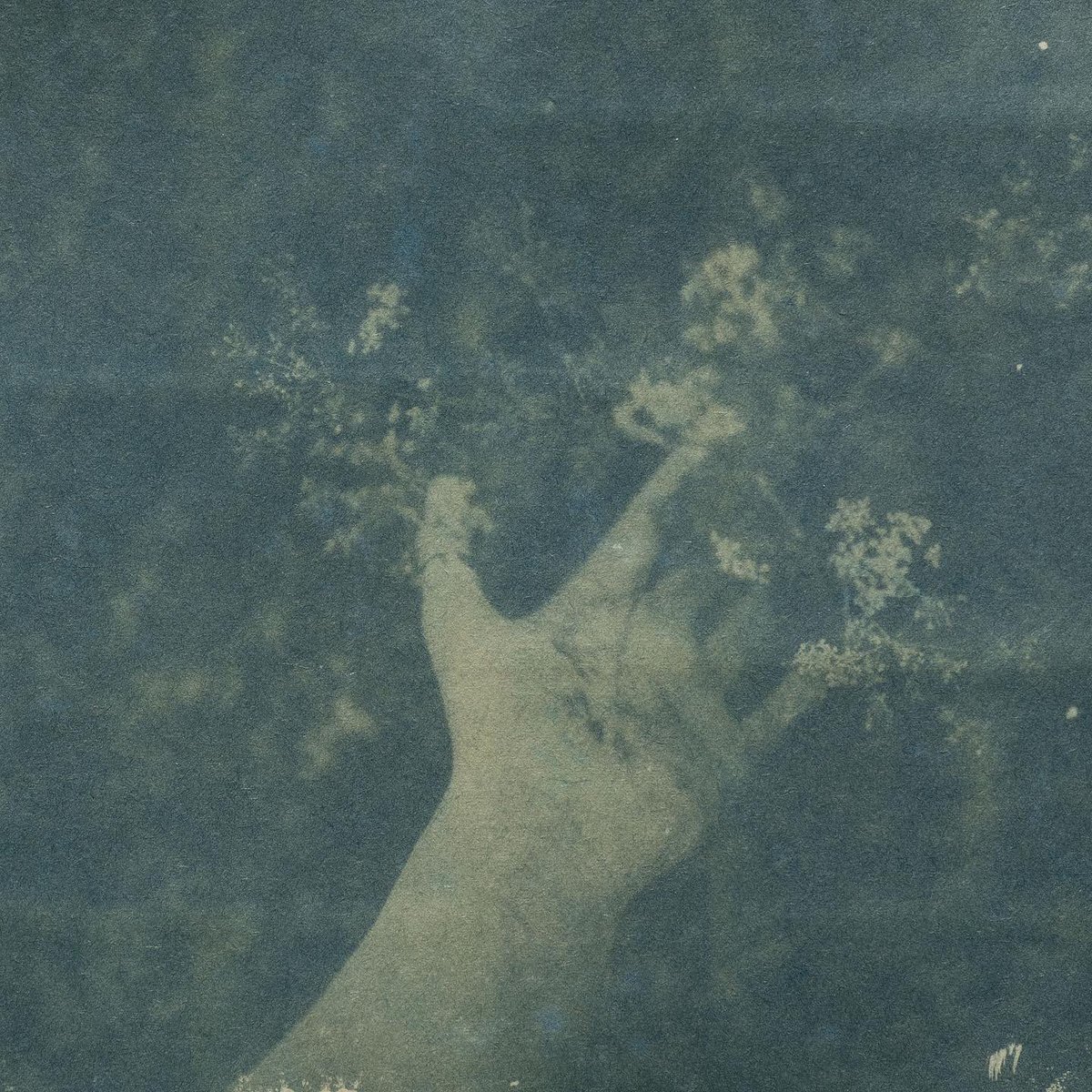 holding resilience #5 is available to buy from my website. Cyanotype on the back of old wallpaper - toned with Barley Grass How much resilience do we have in the face of our personal and collective traumas? Is all this resilience a good thing? hayleyharrison.co.uk/shop