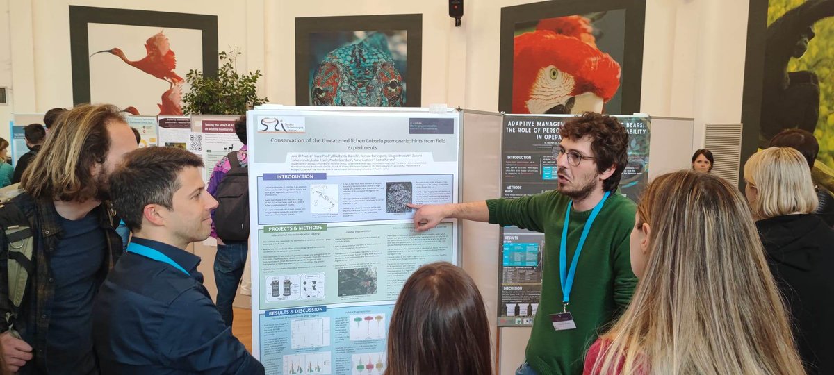 SLichenologica's tweet photo. More  news from the meeting of the Italian chapter of the Society for  Conservation Biology in Rome with @dinuzzoluca presenting a poster about the SLI Working Group for Ecology: "Conservation of  the threatened lichen Lobaria pulmonaria: hints from field experiments". https://t.co/eSbilbMstw