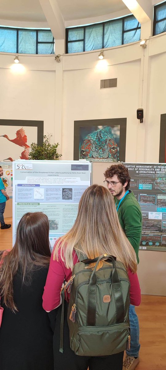 SLichenologica's tweet photo. More  news from the meeting of the Italian chapter of the Society for  Conservation Biology in Rome with @dinuzzoluca presenting a poster about the SLI Working Group for Ecology: "Conservation of  the threatened lichen Lobaria pulmonaria: hints from field experiments". https://t.co/eSbilbMstw