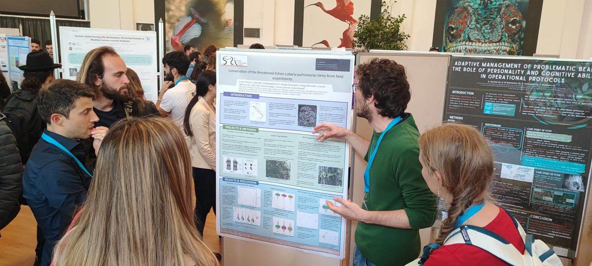 SLichenologica's tweet photo. More  news from the meeting of the Italian chapter of the Society for  Conservation Biology in Rome with @dinuzzoluca presenting a poster about the SLI Working Group for Ecology: "Conservation of  the threatened lichen Lobaria pulmonaria: hints from field experiments". https://t.co/eSbilbMstw