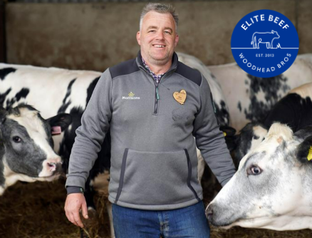 Join our Elite Group of Suppliers! 🐄

If you are interested in the scheme and want to find out how it can work for you, call Alex on 07790 359879 ☎️

#elitebeef #woodheadbros #britishbeef