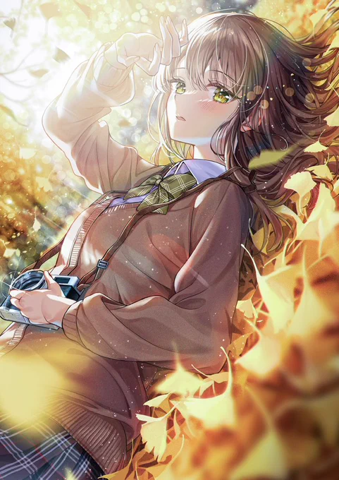 #再掲したらフォロワーが増えるらしい秋色に焦がれる 