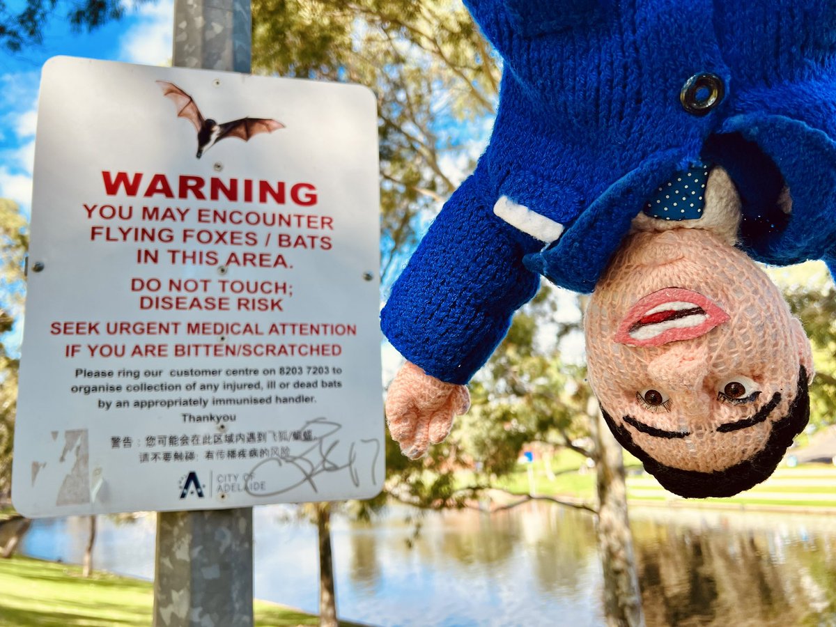 Jimmy Carr on Twitter "I’m in the land down under 🇦🇺🦇"