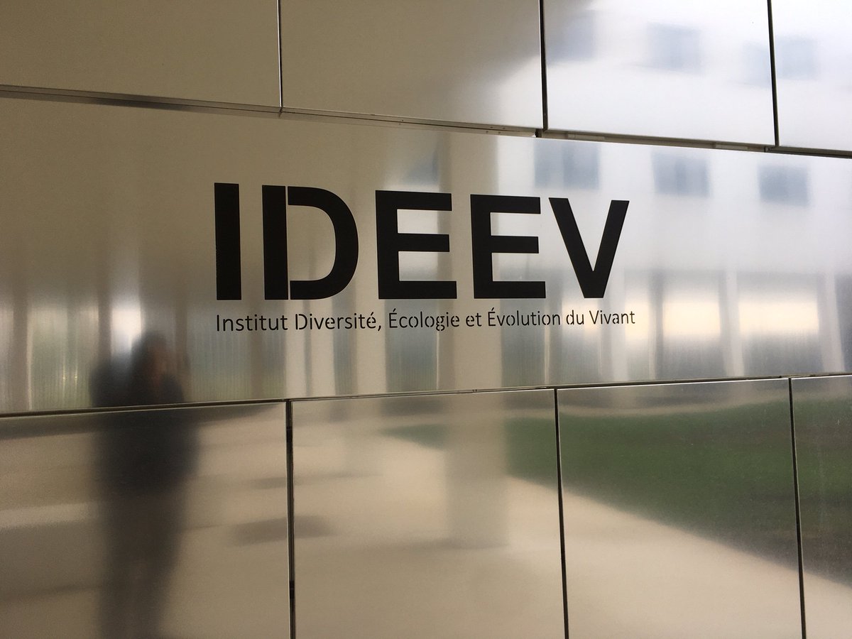 EPGV_INRAE's tweet photo. Just a week ago, we had an amaizing time at the Kick-Off meeting of the MineLandDiv project !
A new project highlighting the potential of landraces from all around the world in adapting🌽 to current biotic and abiotic changes !
We'll use 🧬#tGBS to genotype and haplotype them 💪 https://t.co/HKh8VtSUIC
