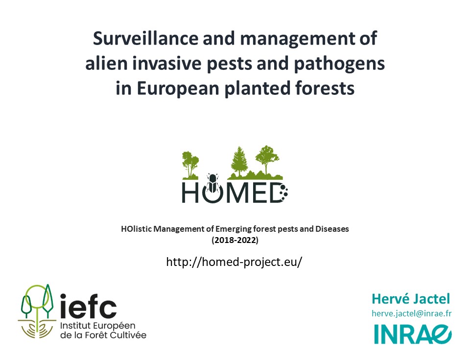 🔔 [Let’s Talk About Planted Forests - Webinar]
   
🎙️We are kicking-off the webinar with Hervé Jactel, from INRAE! 

➡️He will comment on the main outcomes of the HOMED project that finished in 2022. 

<a href="/ProjectHOMED/">HOMED</a> #forests #online #plantedforests
