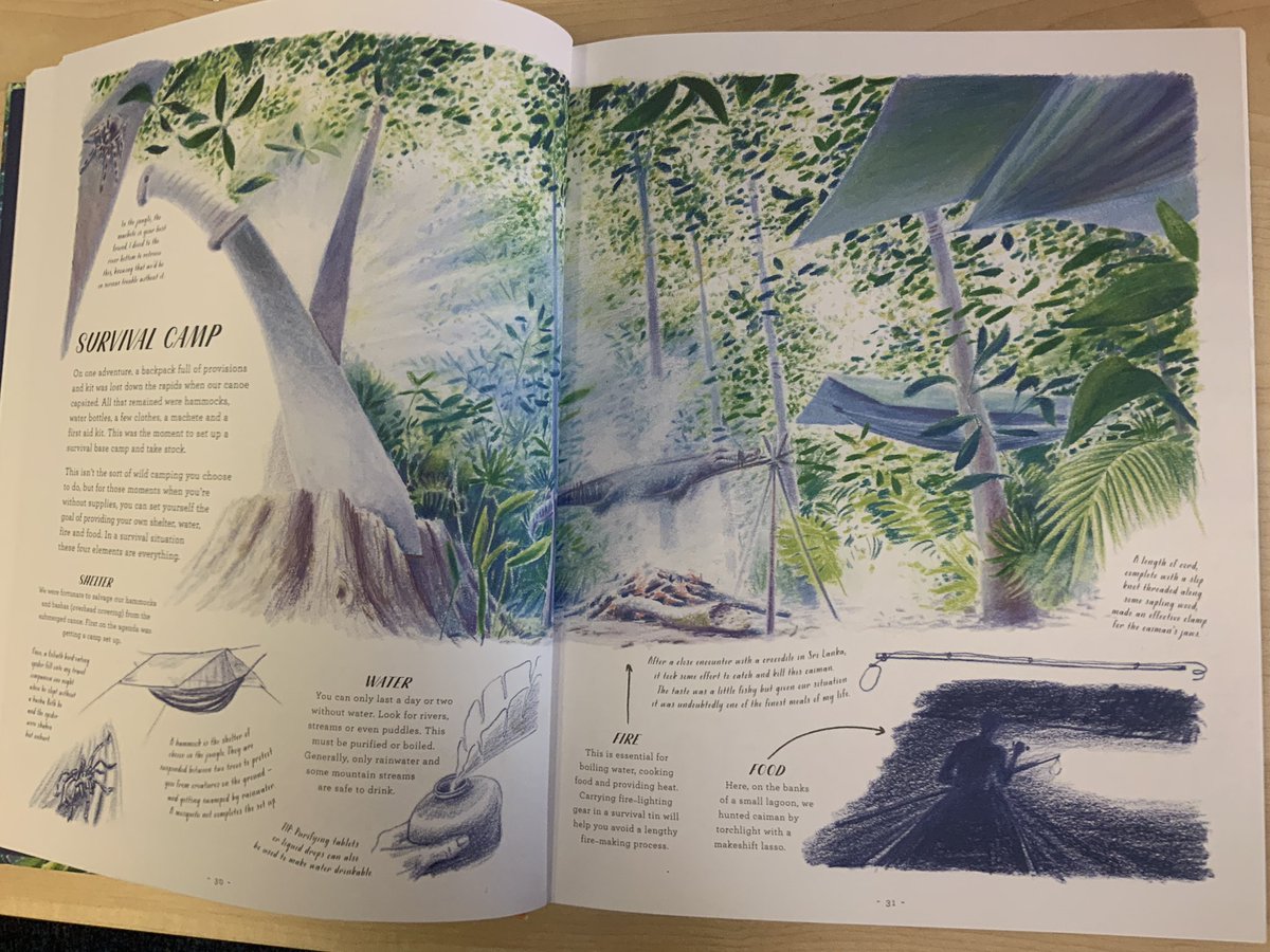 RunnymedeStEd's tweet photo. Year 5 have really enjoyed immersing themselves in our new book, The Lost Book of Adventure. We have been reading about various types of wildernesses and developing our knowledge of survival skills. ποΈποΈ πποΈ #LRQM #RunnymedeReading https://t.co/6zEv9AZG98