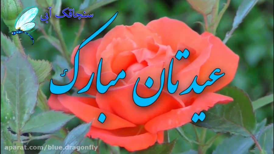 amer_masood's tweet photo. https://t.co/teFt1hKf3o
