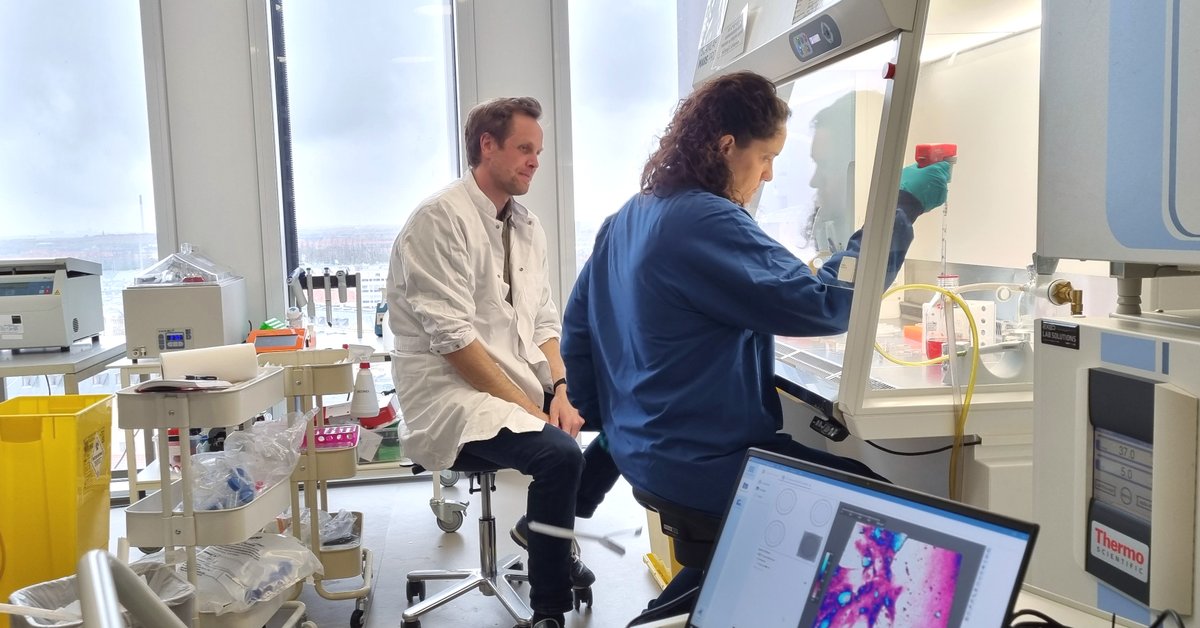 PhaseHolo's tweet photo. 🎉10/10 views not only looking at their cells, but also for Sofia and Bo from their amazing lab at @UCPH_Research. You could see all the way across to Sweden 😀
#holomonitor #cellresearch #kbhuni #ucph https://t.co/kuXBNcVBwY