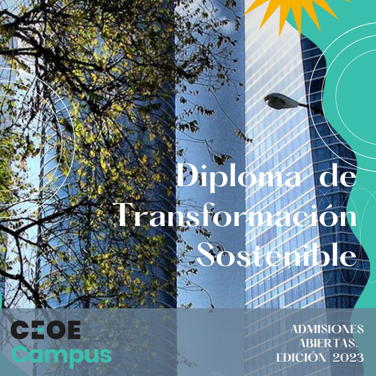 CEOE_ES's tweet photo. 🥁 ¡Apúntate al Diploma de Transformación Sostenible de @CEOE_Campus!💥

👩‍🎓🌱El programa que ayuda a las #empresas a acelerar la transformación #sostenible para alcanzar resultados económicos, ambientales y sociales 

➕Info. e Inscripciones⏬
https://t.co/o25MwBhd6b https://t.co/kiQ6CRgUx9