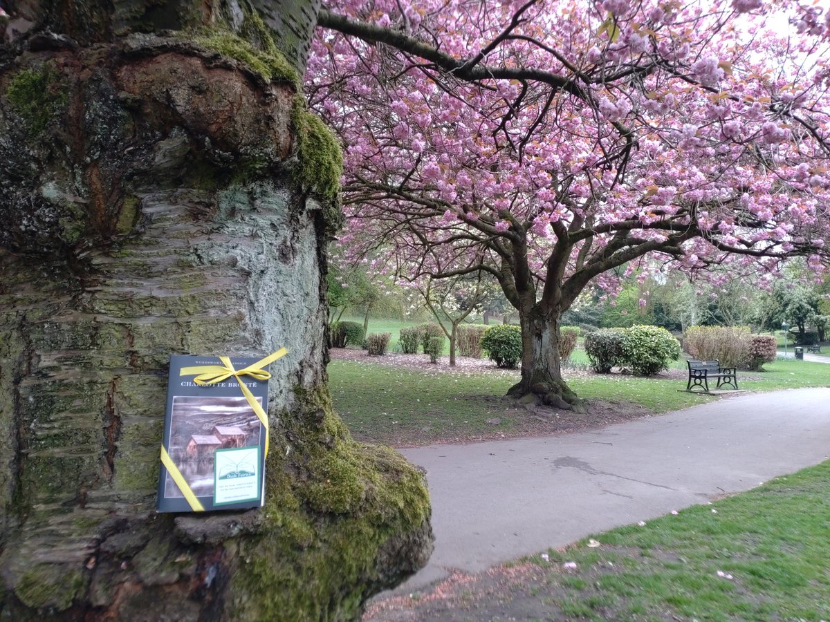 The Book Fairies are sharing copies of Shirley to celebrate Charlotte Brontë’s birthday!
Who will be lucky enough to spot one in the blossom at Valley Gardens in Pontefract?
#ibelieveinbookfairies #TBFCharlotteBronte #TBFWordsworth #WordsworthEditions #CharlotteBronte