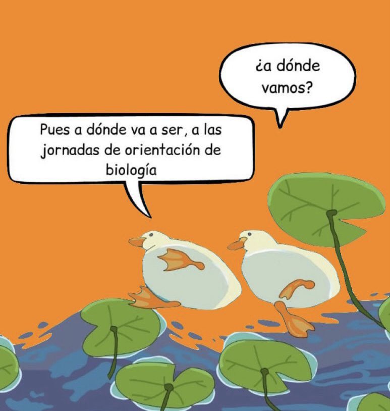 Biojornadas's tweet photo. ¡¡Mañana nos vamos de “patoaventuras” !! 🦆🐥🐥🐣

✨3ª edición de las Jornadas Laborales de Biología ✨
🕓 Facultad de Ciencias, Sección de Biología a las 9:00

Todavía estás a tiempo para asistir, ¿a qué esperas? 🥚 https://t.co/dFkHrDLZ8o
