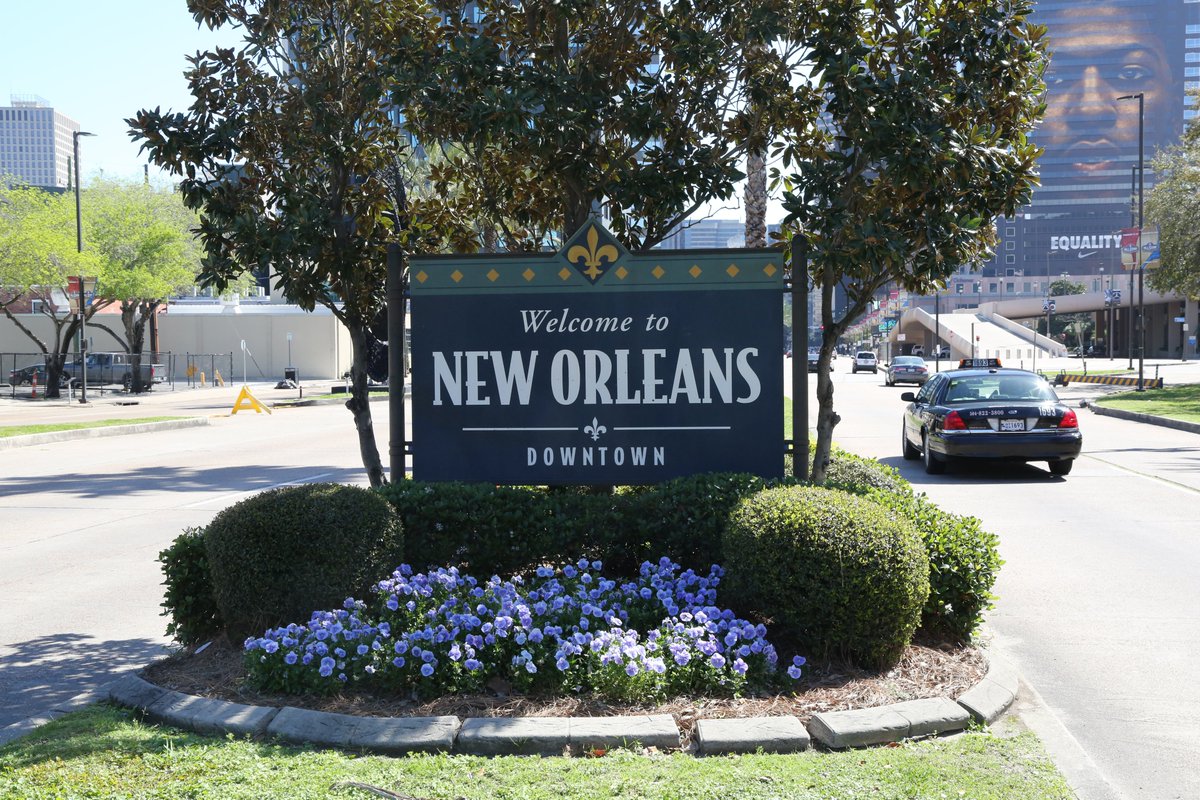 Jimmy Minichello tweet media