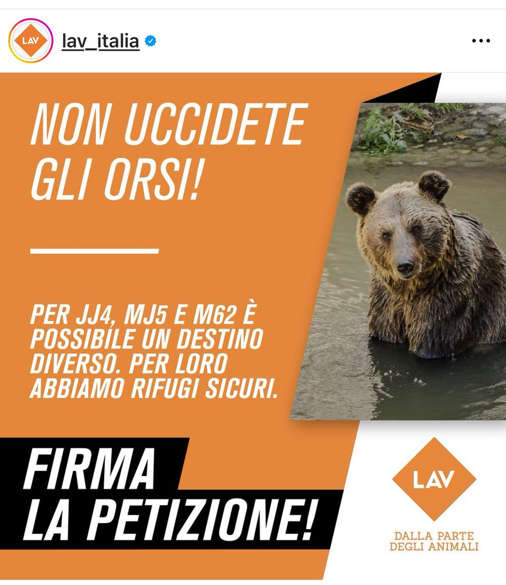 ccat_89's tweet photo. @Gazzettino https://t.co/miLrVOFeLb