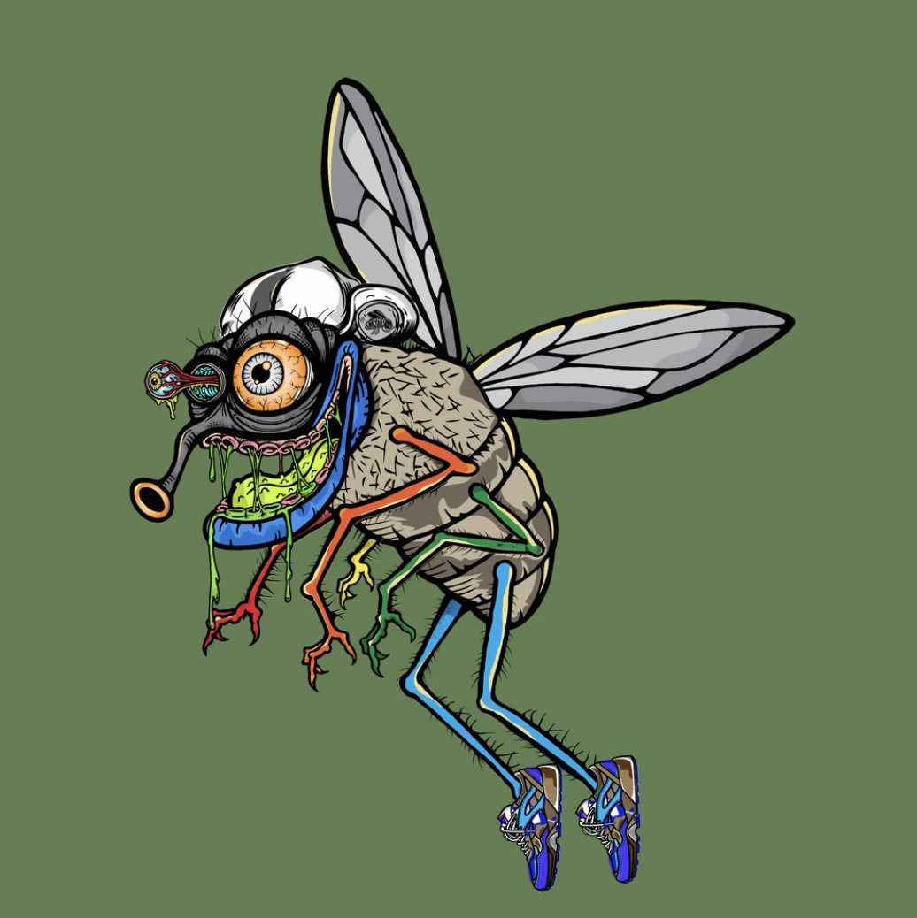 funky_flies's tweet photo. It's #flyday #zzz and time to rize and grind baby! #getsome #LFG #fluno #flingo #ETH #BTC #fun #flingo #funkyflies #flies #fly4life #funky - Let's have a great day!! #GM https://t.co/MvYv9OCMUb