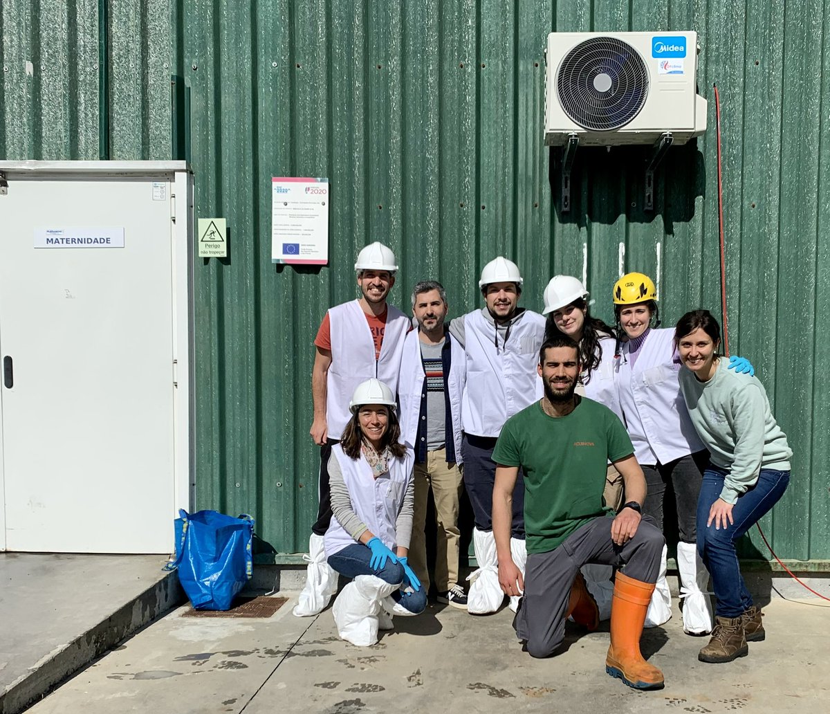 lramospinto91's tweet photo. It was another great sampling for the #Breedflat @EEAGrants_IN project with CCMAR team at #Flatlantic.
@CiimarUp @CienciasDoMar
#flatfish #aquaculture #turbot #ciimar https://t.co/6WeqPsBjmR