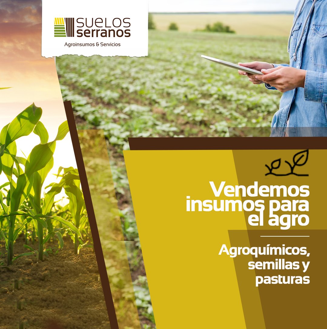 La elección de un producto es importante
de determinar antes de la siembra. 🚜🌱 Y para
eso... ESTAMOS NOSOTROS! 🌱

▶ Venta de insumos para el agro: agroquímicos,
semillas y pasturas
🌻 ¡La mejor calidad en el mercado! 🌽⁣⁣

📧 info@suelosserranos.com⁣⁣⁣⁣⁣⁣
