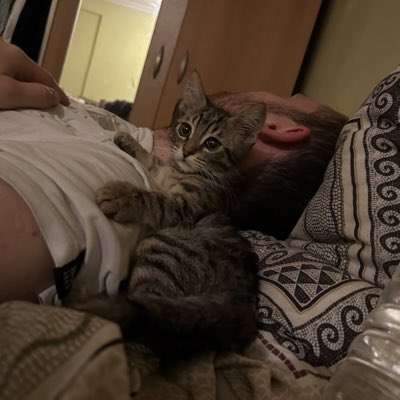 Merabalar ben Çöri, bugün bu sayfanın admini ben olacağım 👻 #NewProfilePic