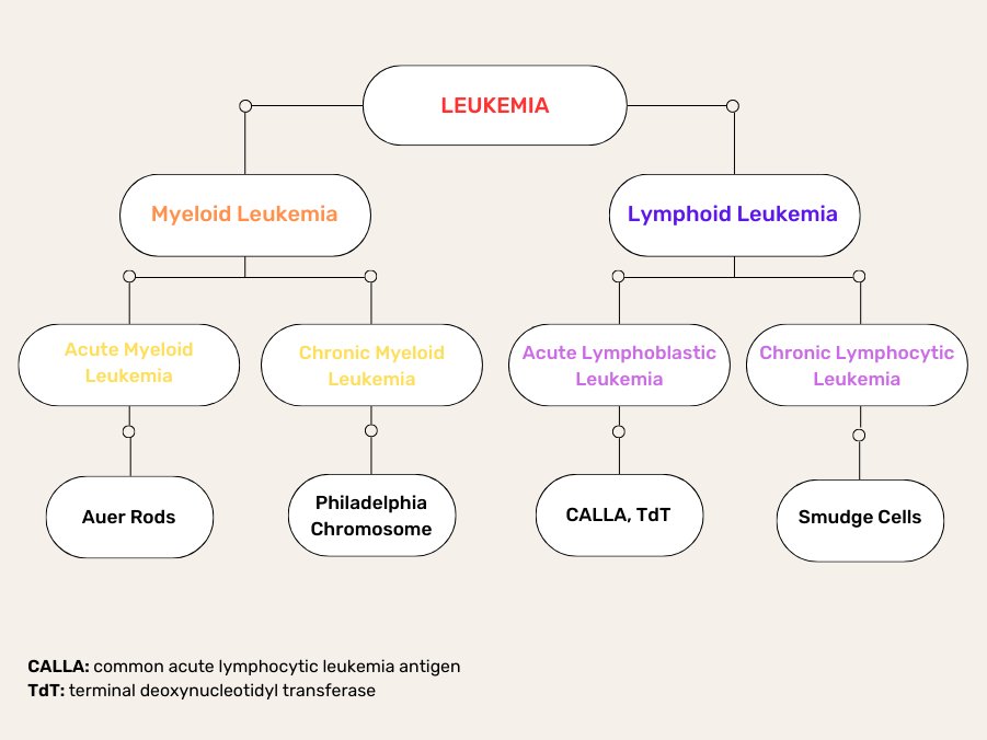 rmt cutie on Twitter "IMPORTANT LEUKEMIA MARKERS TO REMEMBER"