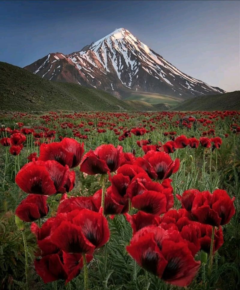 Mount Damavand.. Stratovolcano in Iran 🇮🇷
