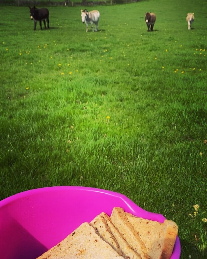 noreviewhouse's tweet photo. It’s Friday! 🎉 Everyone deserves a treat today. Go on and spoil yourself.. ❤️

#friday #weekend #earthday #explore #instagood #visitkilkenny #fishing #giftvoucher #spring2023 #summer2023 #sunnysoutheast #elite #adventure #irelandsancienteast #selfcat… https://t.co/2Y2c6Is8nm https://t.co/sq9dr2vzHe