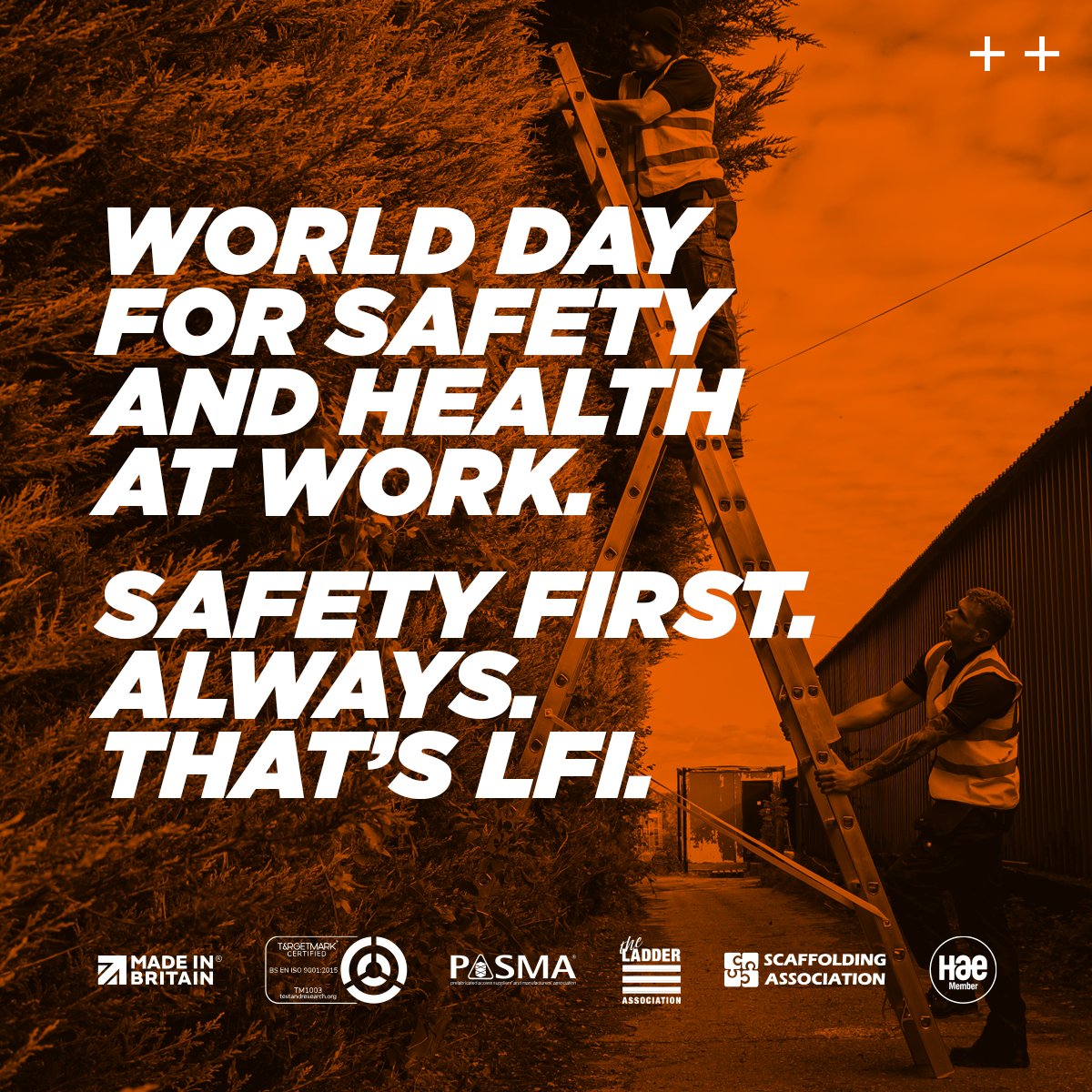 LFI tweet media