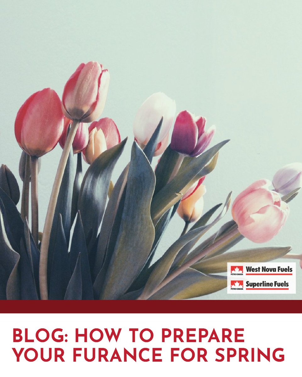 West Nova Superline tweet media