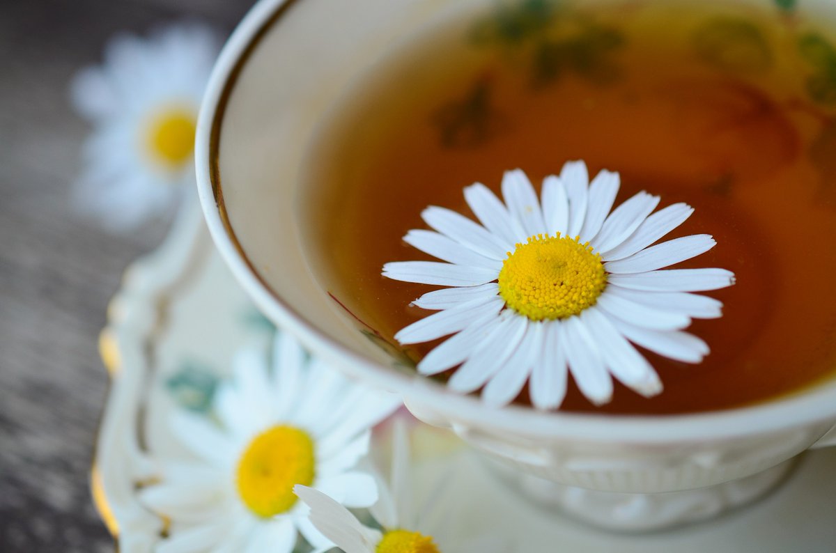 #April21st is #TeaDay. Celebrate by sitting down with your favourite brew and giving yourself a #TeaLeafReading. #Tasseomancy #Divination #Tea