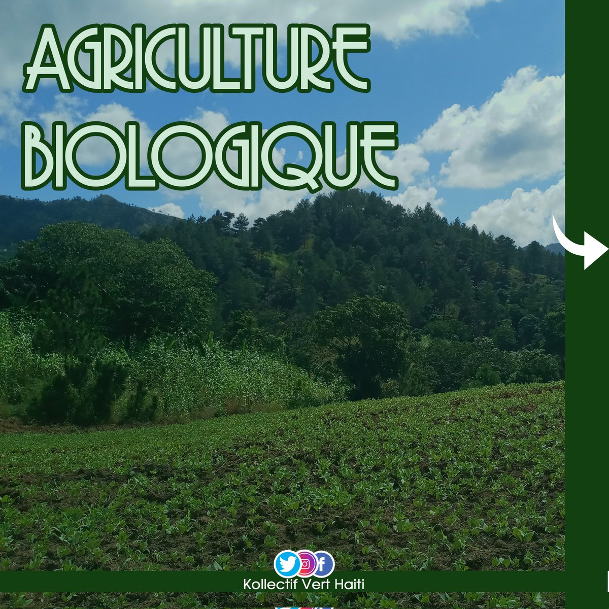 KollectifV's tweet photo. Pour notre 4ème sortie cette année, nous parlons d'Agriculture Biologique.

Lisez et partagez😃.

 #agriculture  #bio 
🌳🌳🌳🌳🌳🌳🌳🌳🌳

1/2 https://t.co/pupkTpPpGl
