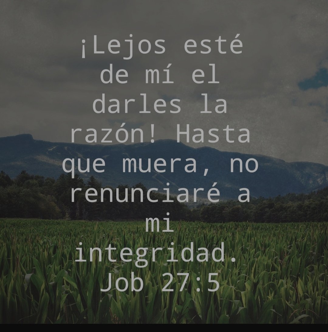 elva7310's tweet photo. #rpsp #Job27 #MiBibliaDice Aún en medio del dolor y tratando de entender por qué está en esa situación , tiene esperanza .
También la tienes tu? Cuentales a otros de su amor . No todo está perdido. Dios te escucha y no te abandona. https://t.co/8A7qe61dzS