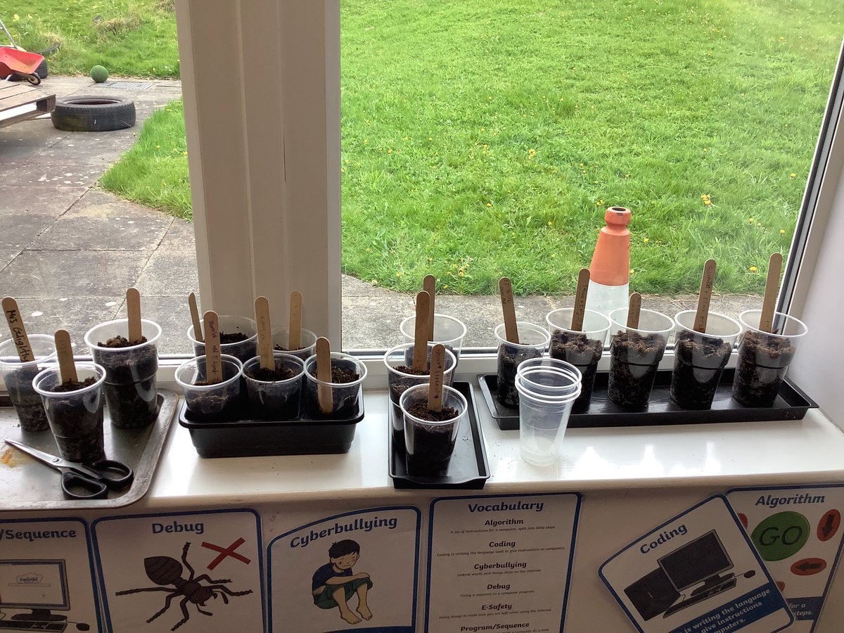 StAgnesY2's tweet photo. We have started our plants topic in science this week. The students planted sunflowers with a partner. We will be observing their growth in the coming weeks. #stagnesscience https://t.co/z3MvXq5J6M