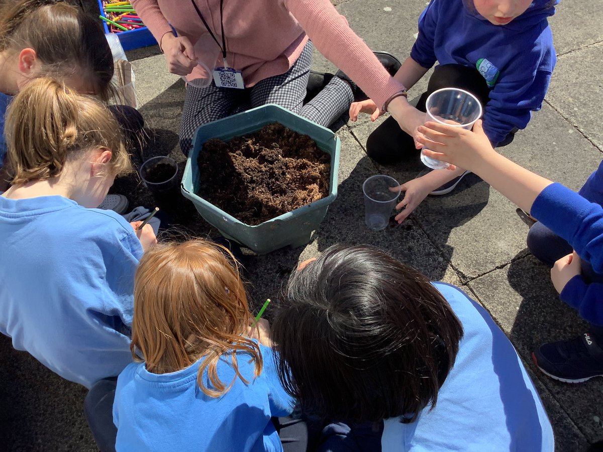 StAgnesY2's tweet photo. We have started our plants topic in science this week. The students planted sunflowers with a partner. We will be observing their growth in the coming weeks. #stagnesscience https://t.co/z3MvXq5J6M