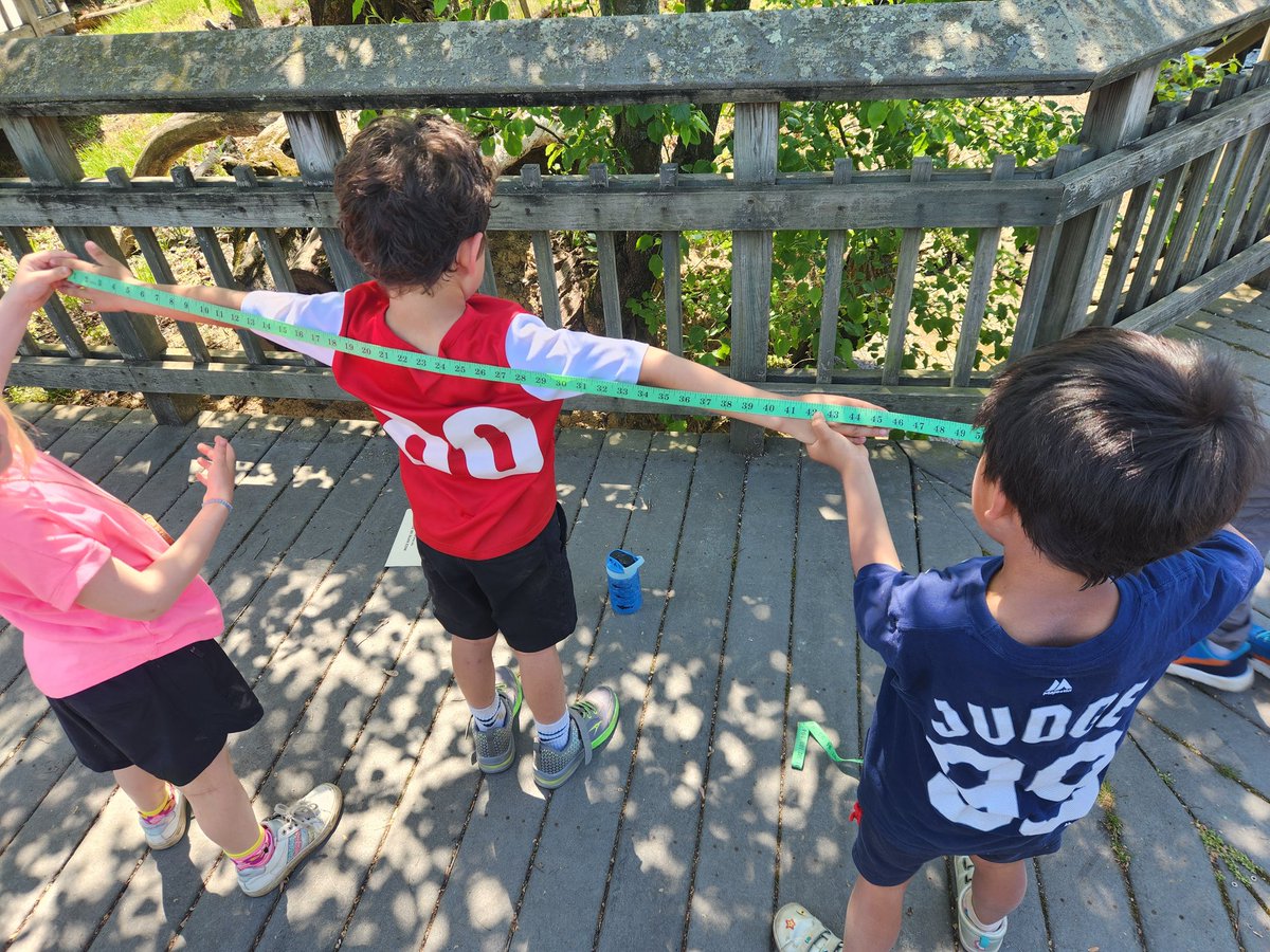 UrbanAdvSquad's tweet image. What's your wingspan? #SquadMembers measured up w/ Black Vultures, Red-tailed Hawks, &amp;amp; Peregrine Falcons. We talked adaptations of raptors &amp;amp; used binoculars to spot birds of prey circling overhead!

#JuniorRangerAdventureSquad 
#KenilworthAquaticGardens
#ThisIsOutdoorLearning