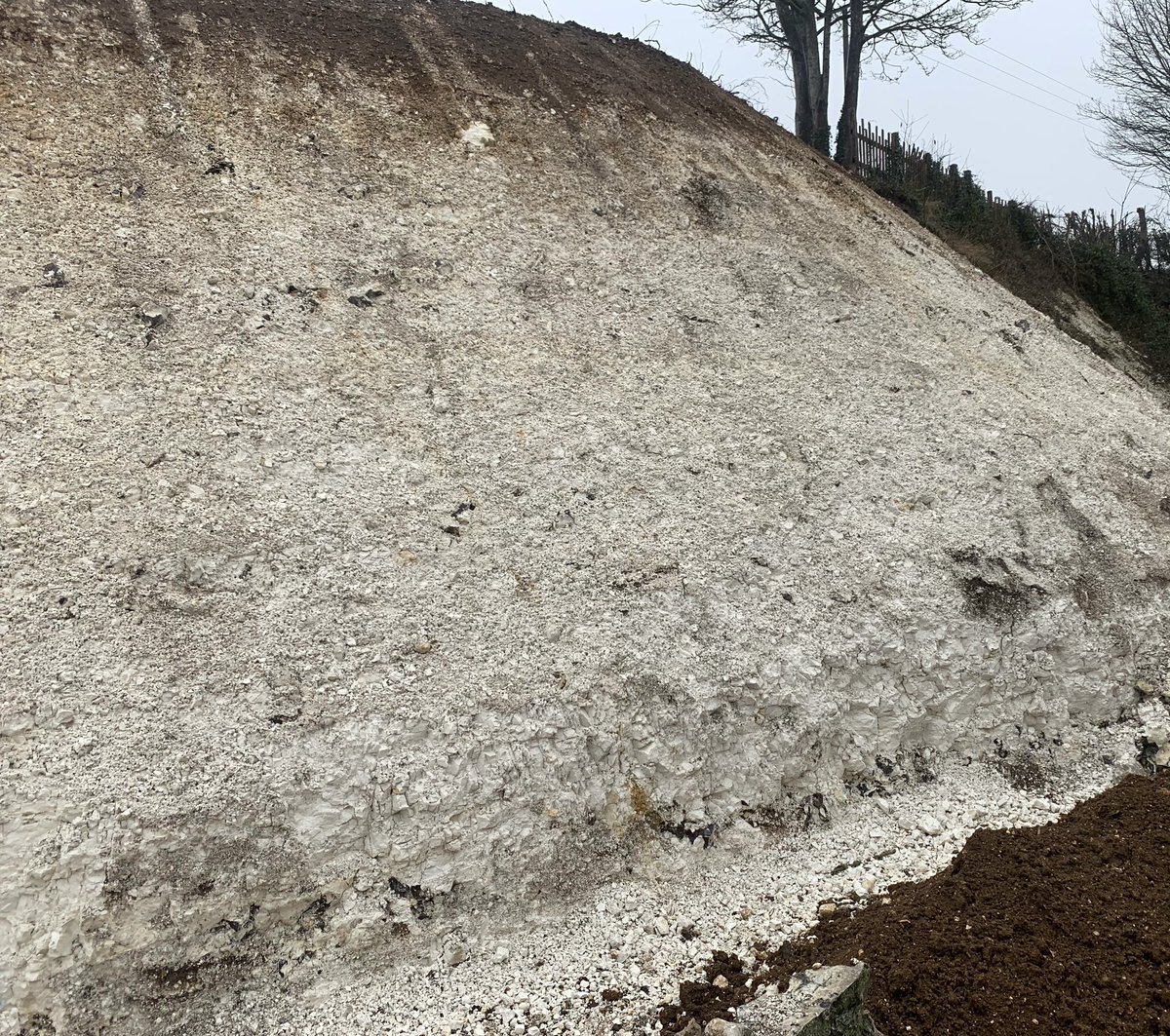 Hydroseeding's tweet photo. Hydroseeded earlier this month, this chalk bank using EarthGuard high performance hydromulch. Working with our client we tailor made a seed mix containing species they desired that suit the calcareous ground

#grassseeding #hydroseed #erosioncontrol #sedimentcontrol #landscaping https://t.co/RMRgI0IXaB