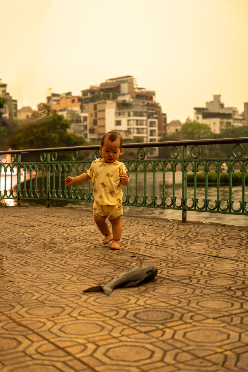 sampharaon's tweet photo. Hanoï c’est du bon poulet 🇻🇳 https://t.co/DN1qpbQC3h
