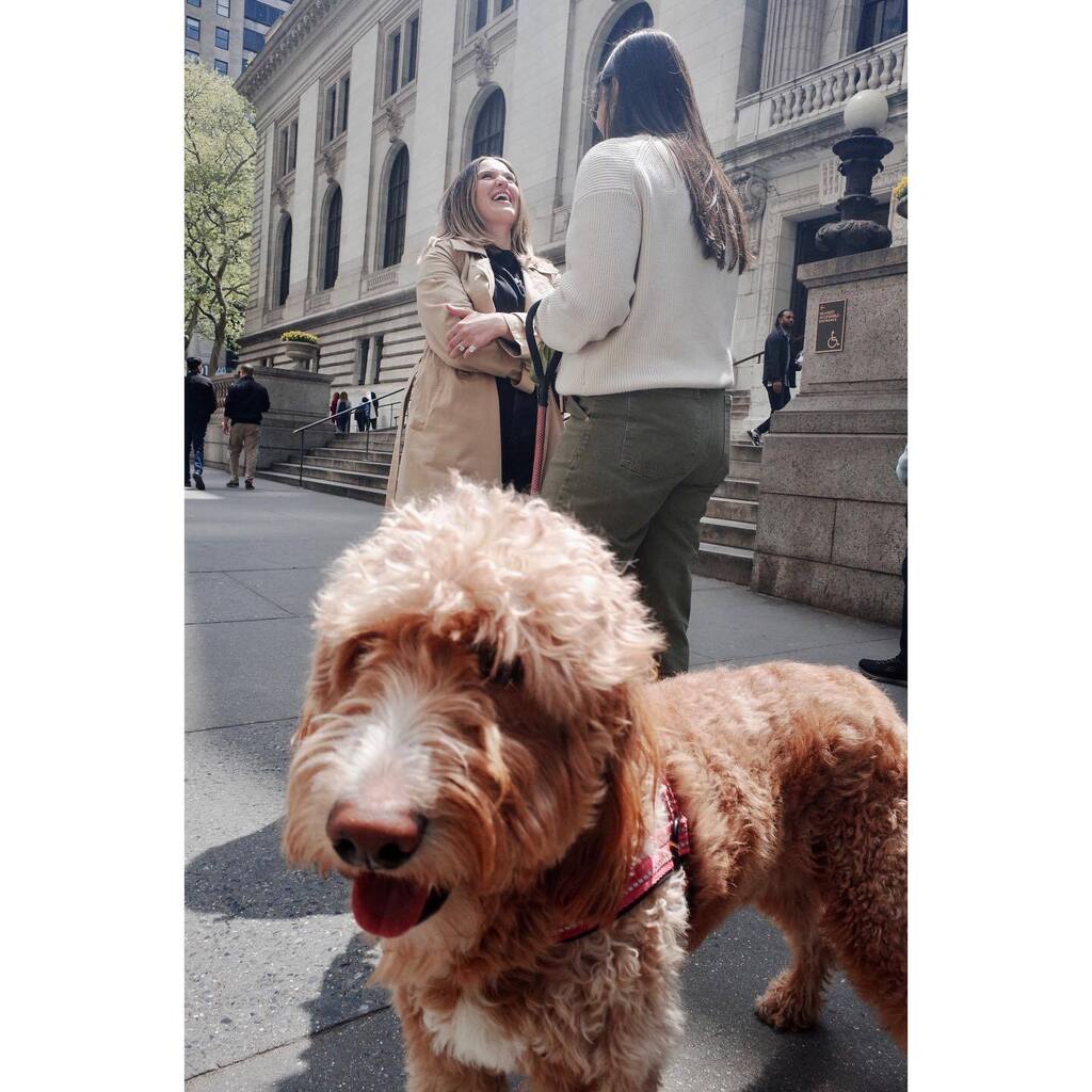 10 pix from this week…
.
.
.
.
.
.
#streetphotography #streetphotographyinternational #ricohgr2 #nycspc #streetdreamsmag instagr.am/p/CrTCYvHO65t/