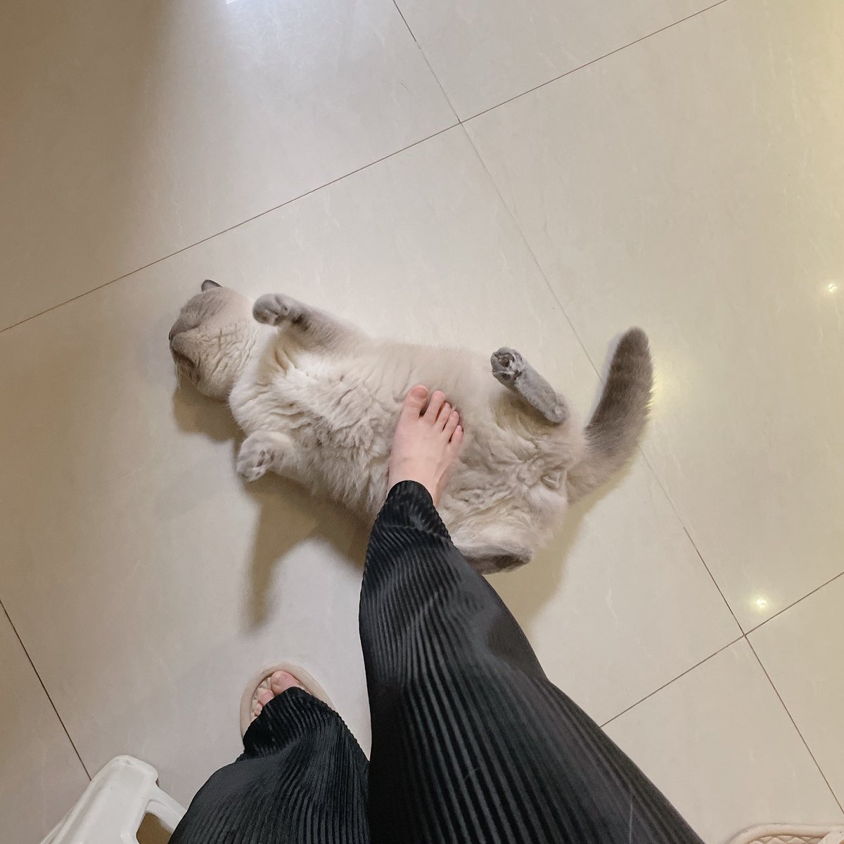被我踩他应该很舒服吧？ https://t.co/BMKHYyqlrR