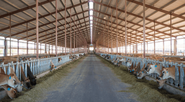 USDairyExporter's tweet photo. It's #EarthWeek2023! See how U.S. dairy farmers are reducing methane emissions: https://t.co/Z3tC1tsws7 and working to achieve greenhouse gas neutrality, optimize water usage and improve water quality: https://t.co/rA0D4iMi24 https://t.co/JYwuj2XfHC