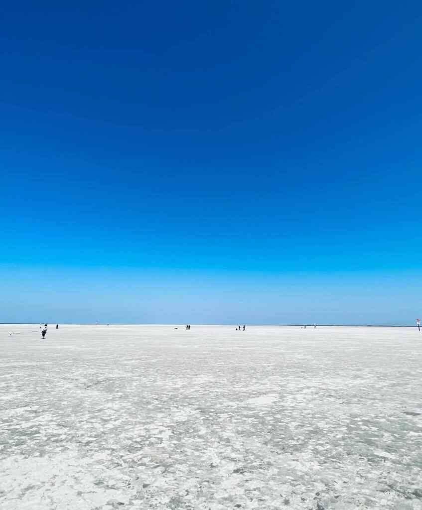 h_ankershoffen's tweet photo. Day at the beach #teamrudi #beachdogsofinstagram #dogsofinstagram #beach @stpeterording #Instagram https://t.co/Ac4Oj1Gg0A https://t.co/YNMAvqX2j7