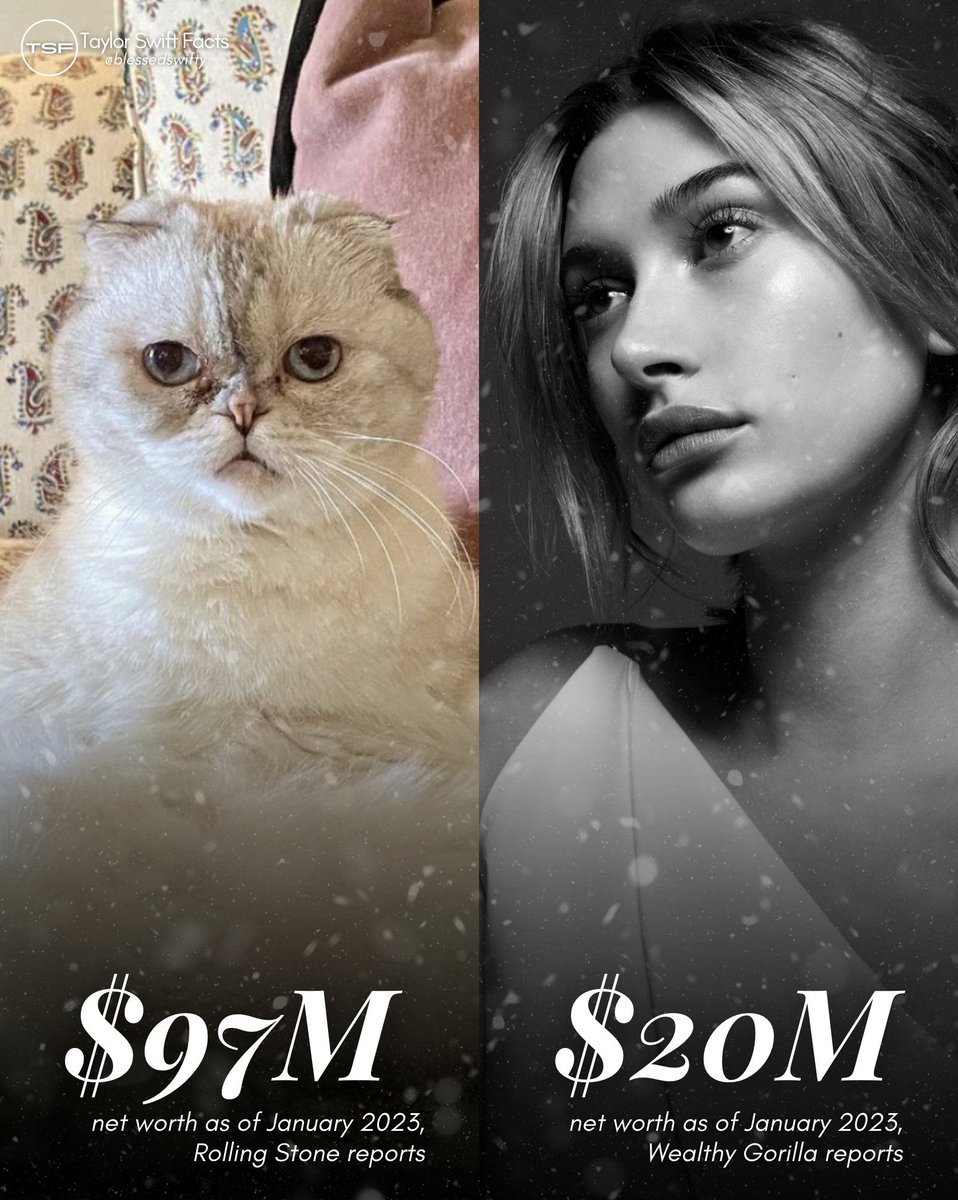 Fun fact: Taylor Swift's cat "Olivia Benson" can buy Hailey Bieber 4 times and still have $17 Million left.