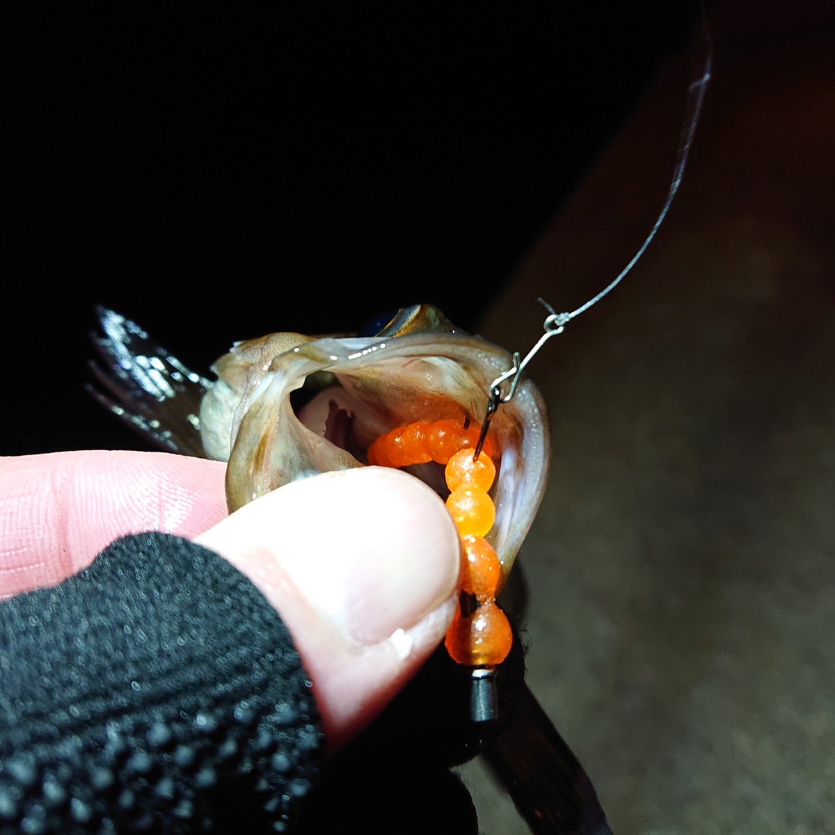 hinden_yosh's tweet photo. ネコリグっぽく使ってみた🎣
詳細は👇️
https://t.co/bHGrv5Ovm4
#ビーディ #BEADY #ThirtyFour https://t.co/NHWKvHZ9eS