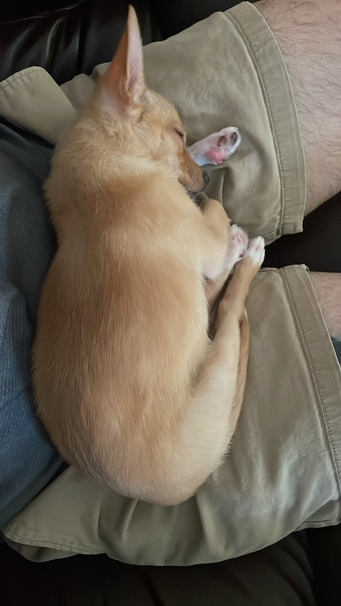 Truthecution's tweet photo. Iโm going to leave for work aaaaaany minute now. #whitelegs https://t.co/jwP5aLuFak