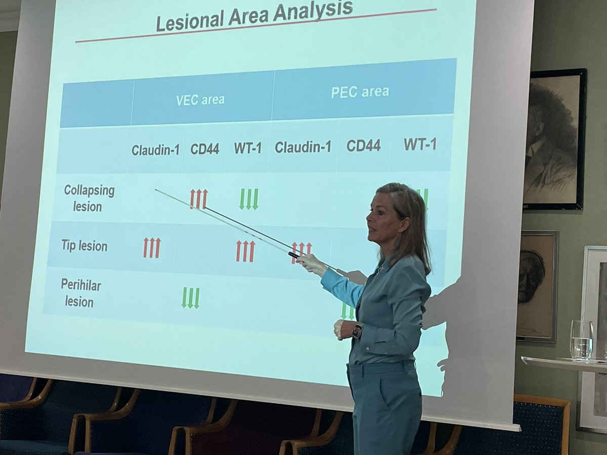 Andreas Kronbichler tweet media