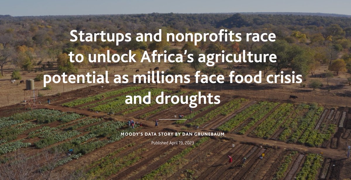 georges_corbin's tweet photo. New #dataviz publication! 🌍 

Well done to Dan and his first reported data story for Moody's. I have less contribution on this project but had fun helping and implementing bespoke components! 

Have a look: https://t.co/H9uc9UiNFW https://t.co/gCKEygQj2V
