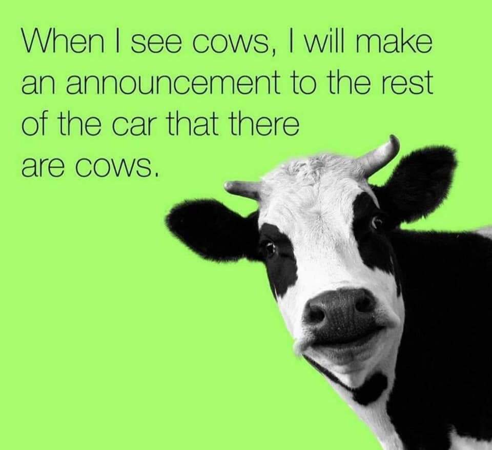 teachergoals's tweet photo. Same! 🙋‍♀️🙋‍♂️ https://t.co/bQw3UYLqYR