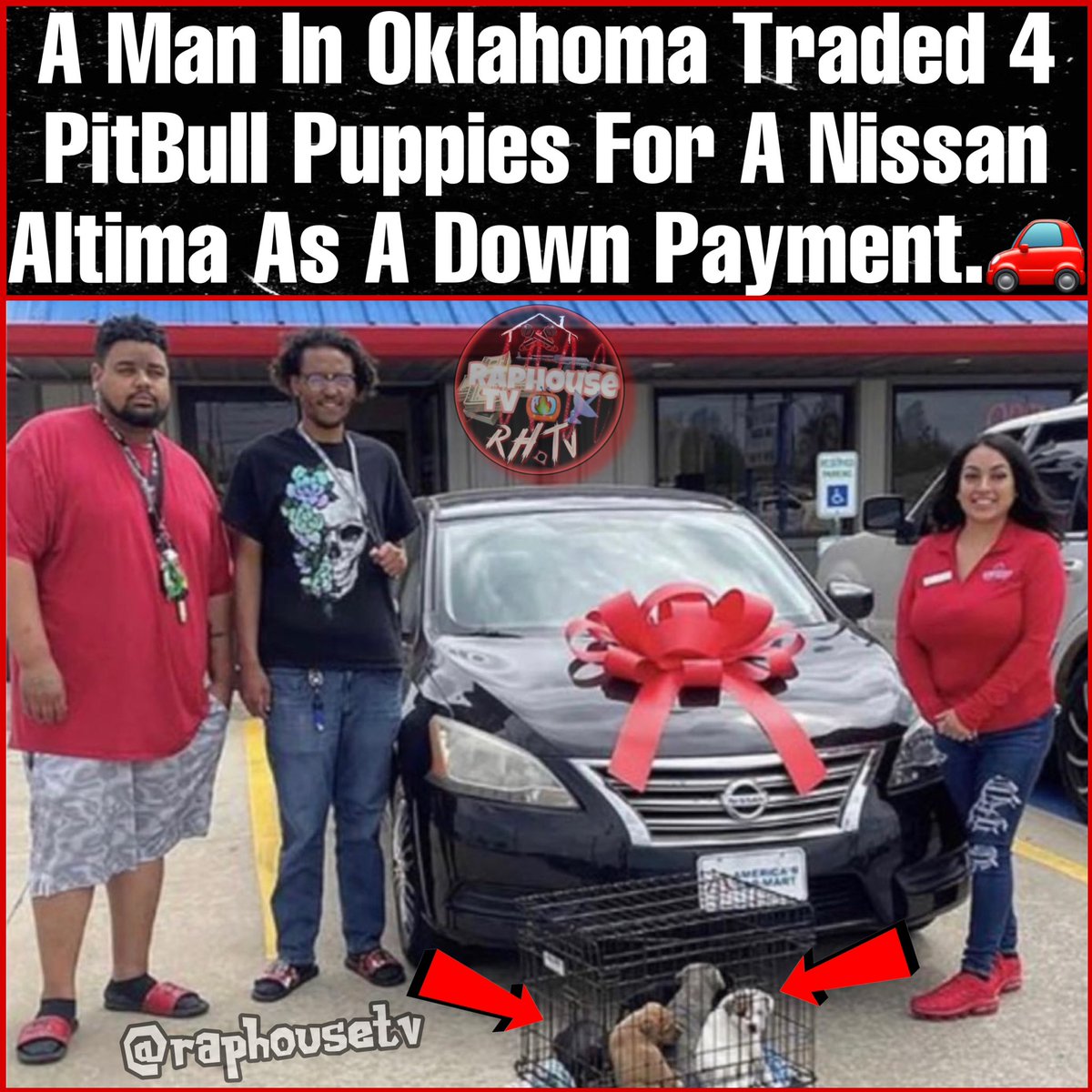 raphousetv2's tweet photo. A Man In Oklahoma Traded 4 PitBull Puppies For A Nissan Altima As A Down Payment.🚗💵😳🐶 https://t.co/HdIbreR0xl