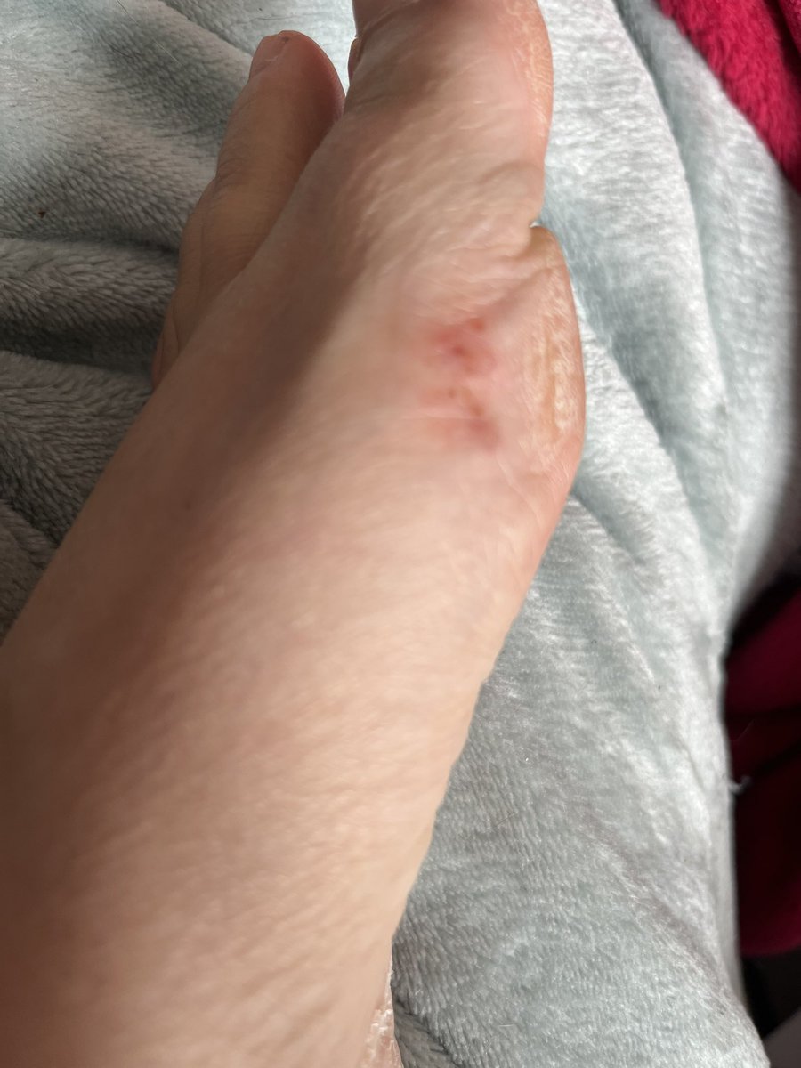 FéeEvelyn 🎮👵🏴‍☠️ tweet media