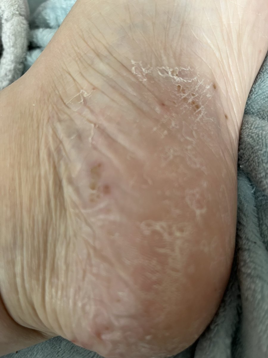 FéeEvelyn 🎮👵🏴‍☠️ tweet media