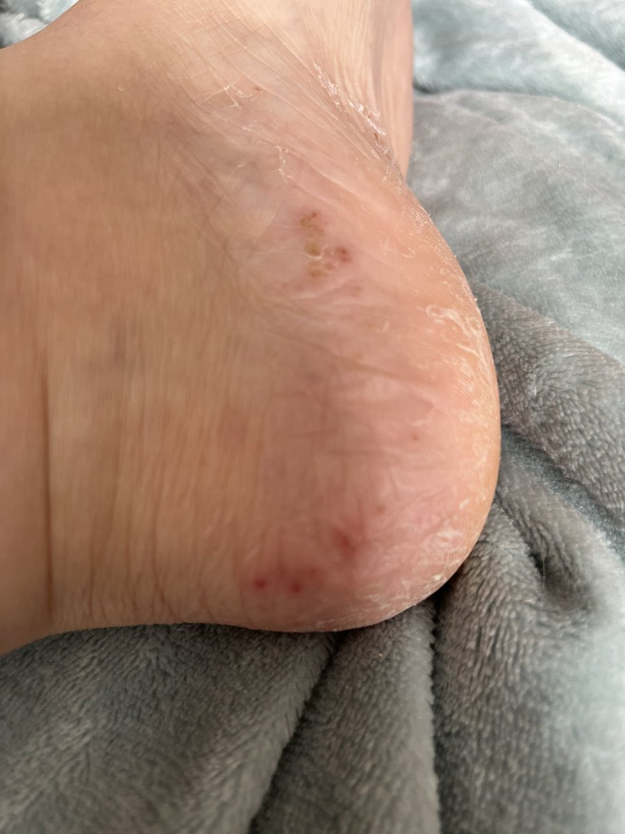 FéeEvelyn 🎮👵🏴‍☠️ tweet media