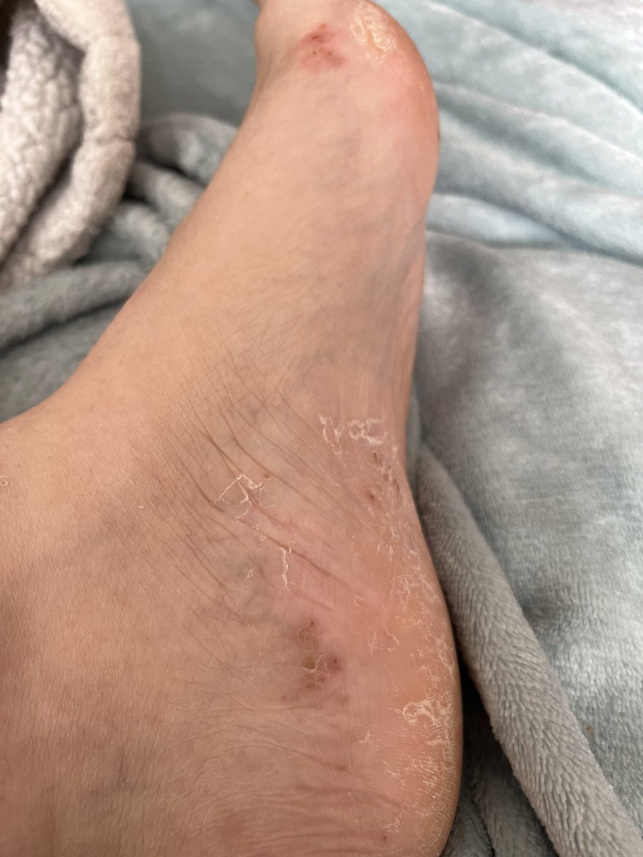 FéeEvelyn 🎮👵🏴‍☠️ tweet media